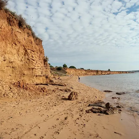 Stylish House In 別荘 プリヴラカ