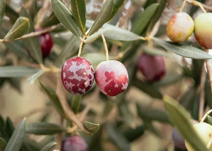 Stylish House In Дом отдыха