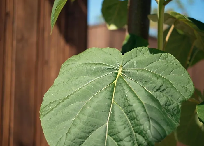Дом отдыха Stylish House In Привлака